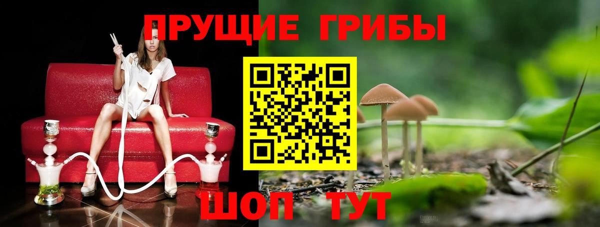 Псилоцибиновые грибы мухоморы  Вход с VPN  Азнакаево 